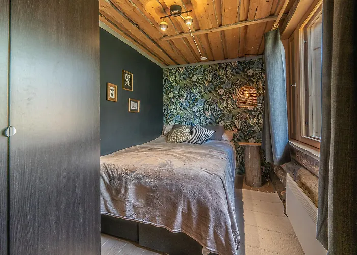 Kelorakkanen Visit * Levi